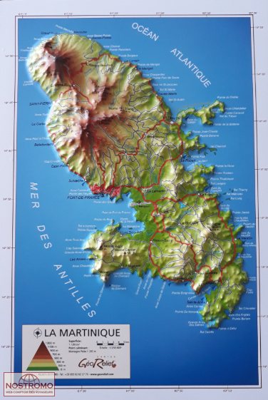 MARTINIQUE | Géorelief relief map