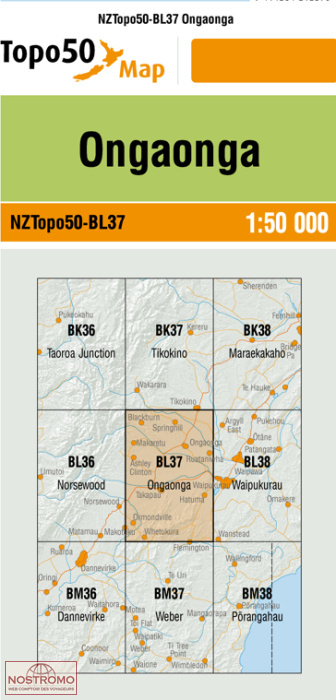 BL37 ONGAONGA | carte topographique LINZ