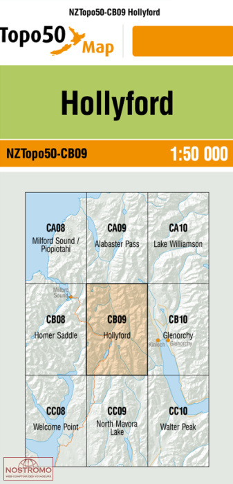 CB09 HOLLYFORD | carte topographique LINZ