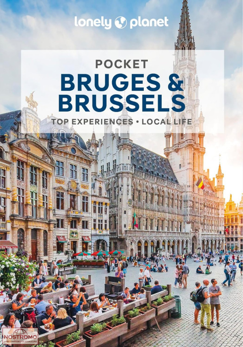 BRUGES & BRUSSELS | Lonely Planet travel guide