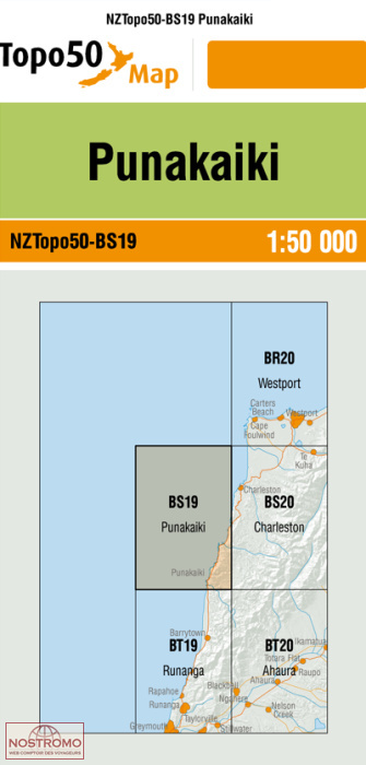 BS19 PUNAKAIKI | carte topographique LINZ