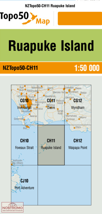 CH11 RUAPUKE ISLAND | carte topographique LINZ