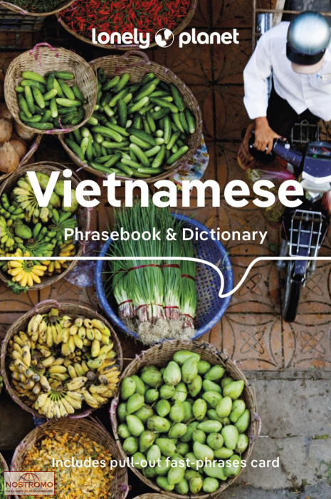 VIETNAMESE | guide de conversation Lonely Planet