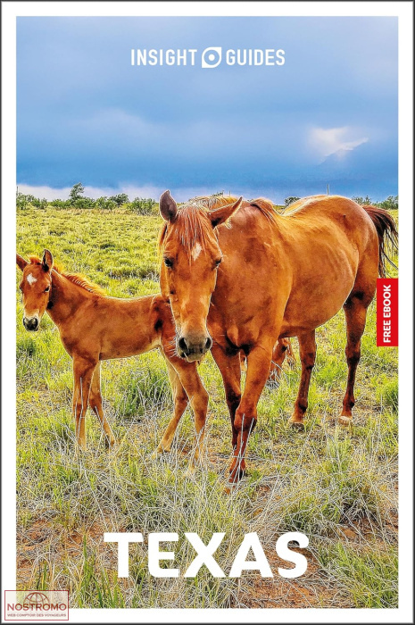 TEXAS | guide culturel Insight Guides