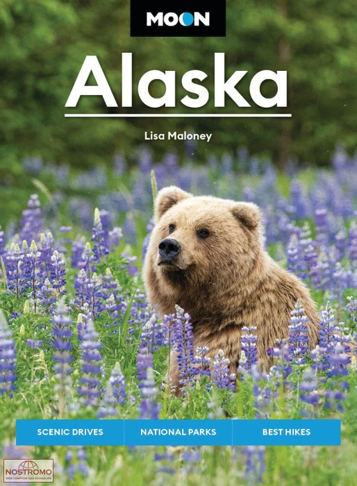 ALASKA | Moon travel guide