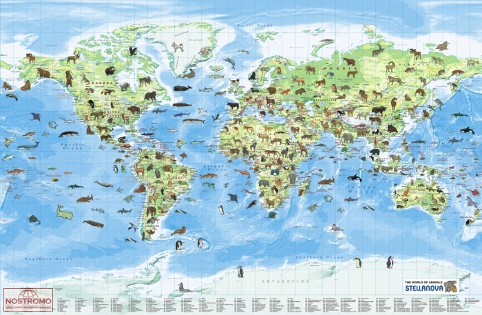 THE WORLD OF ANIMALS | Stellanova wall map