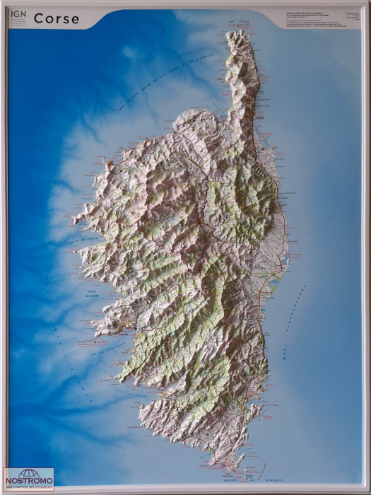 CORSE | IGN relief map