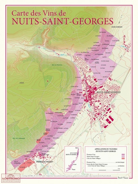 CARTE DES VINS DE NUITS-SAINT-GEORGES | Benoit France poster