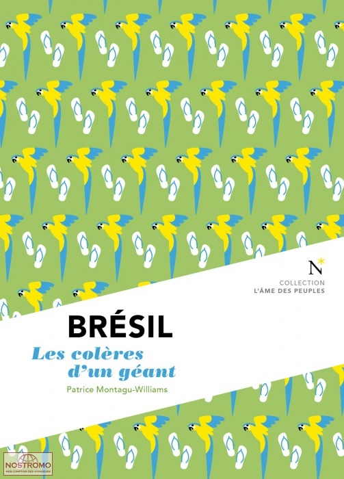 BRÉSIL - LES COLÈRES D'UN GÉANT