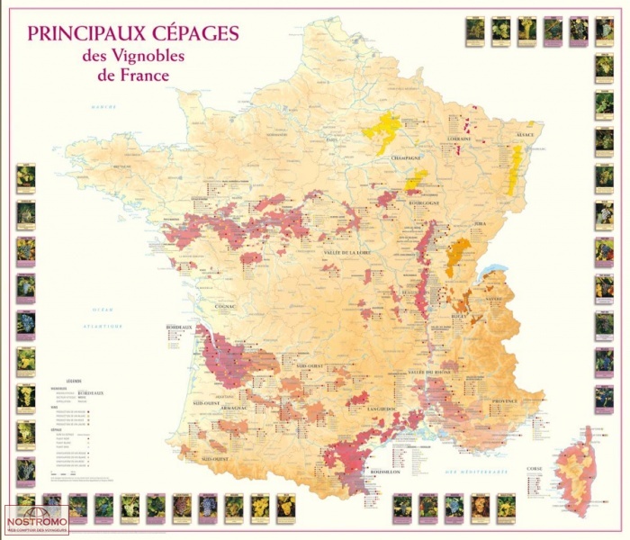 PRINCIPAUX CÉPAGES DES VIGNOBLES DE FRANCE | Benoit France map