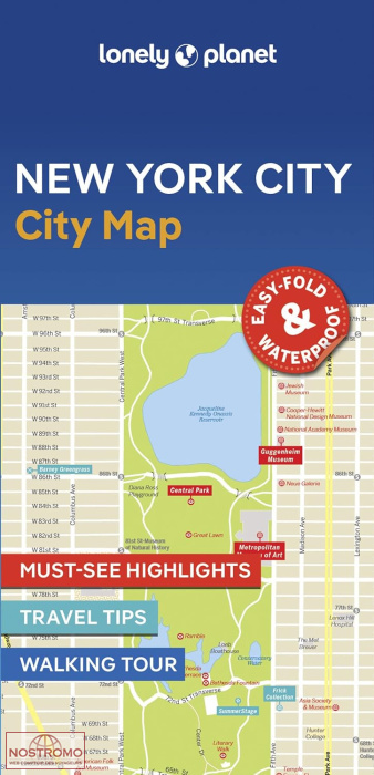 NEW YORK CITY | Lonely Planet street map