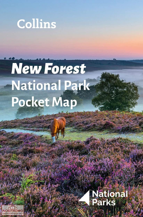 NEW FOREST | carte touristique Collins
