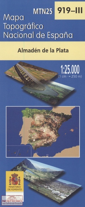 0919-3 ALMADÉN DE LA PLATA | carte topographique CNIG