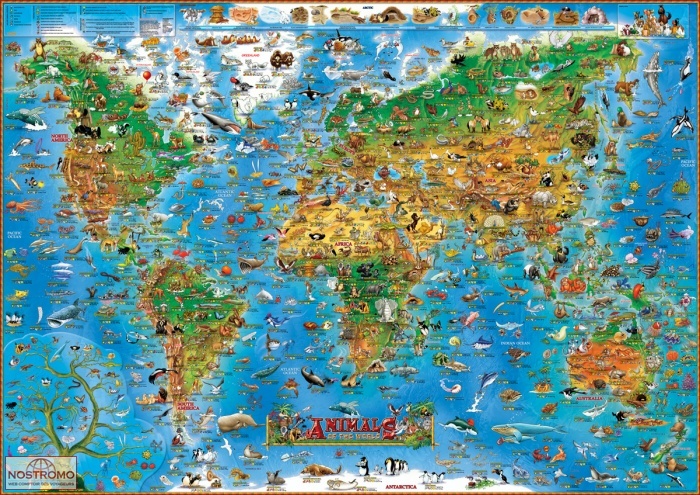 ANIMALS OF THE WORLD | Dino wall map