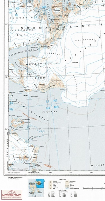 4 NORDAUSTLANDET | Norsk Polarinstitutt topographical map