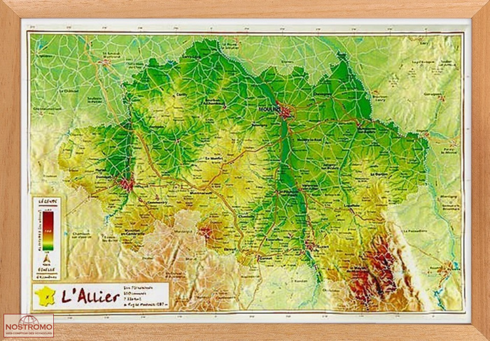 ALLIER | Géorelief relief map