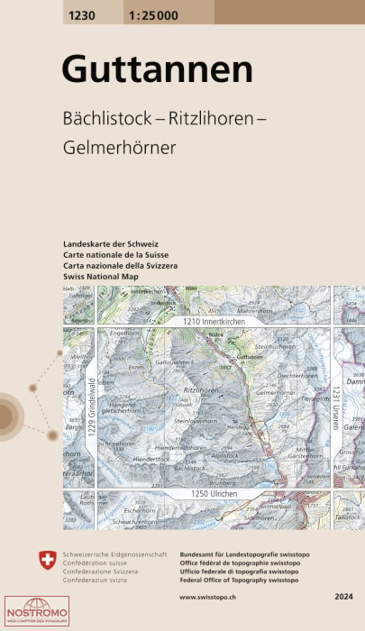 1230 GUTTANNEN - BÄCHLISTOCK - RITZLIHOREN - GELMERSEE | carte topographique Swisstopo