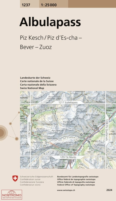 1237 ALBULAPASS - PIZ KESCH/PIZ D'ES-CHA - BEVER - ZUOZ | carte topographique Swisstopo