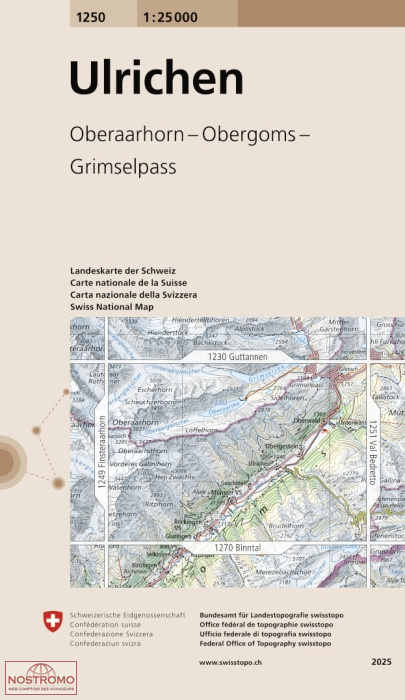 1250 ULRICHEN - OBERAARHORN - OBERGOMS - GRIMSELPASSN | carte topographique Swisstopo