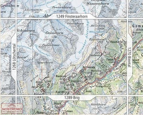 1269 ALETSCHGLETSCHER | carte topographique Swisstopo | nostromoweb