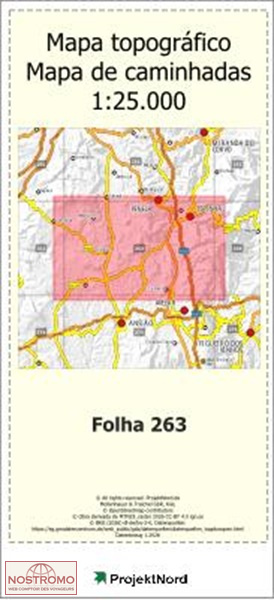 263 ESPINHAL (PENELA) | carte topographique Projektnord