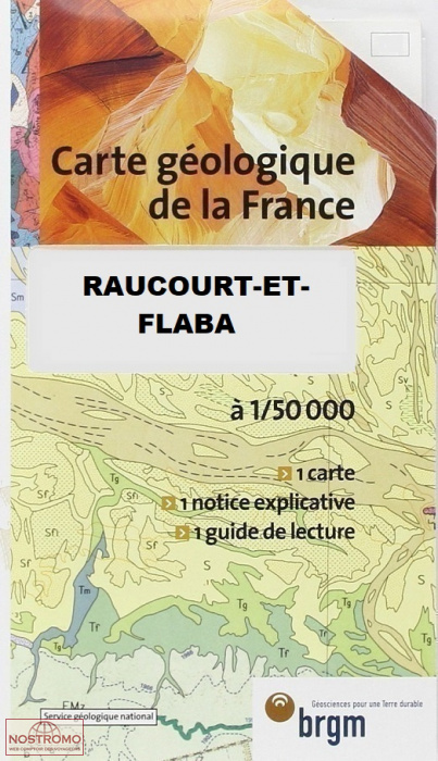 0087 RAUCOURT-ET-FLABA | BRGM geological map