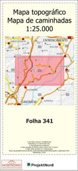 341 PERNES (SANTARÉM) | carte topographique Projektnord
