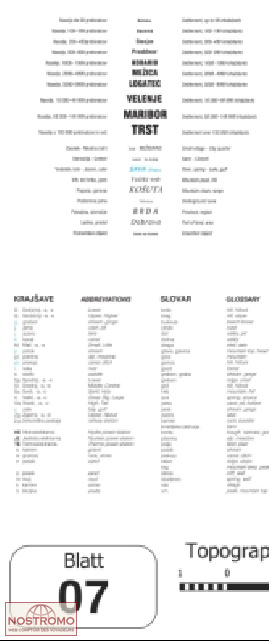 07 GORNJA RADGONA | carte topographique Projektnord