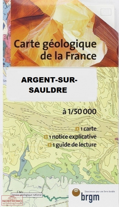 0431 ARGENT-SUR-SAULDRE | carte géologique BRGM