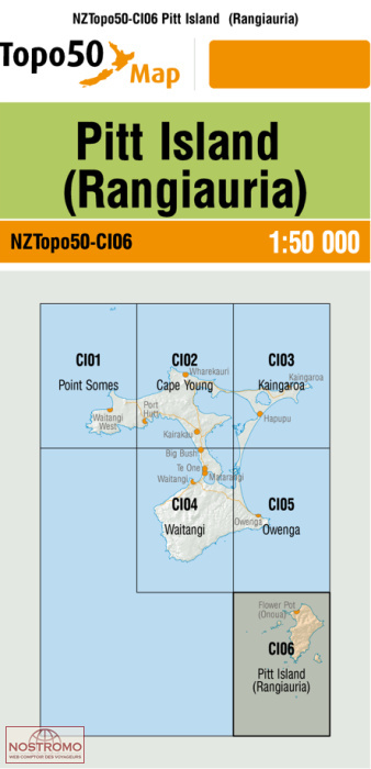 CI06 PITT ISLAND (RANGIAURIA) | carte topographique LINZ