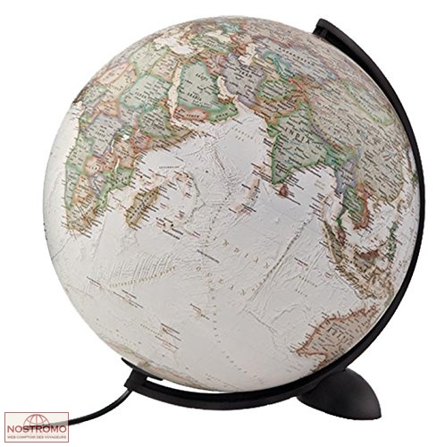 GLOBE SILICON EXECUTIVE FR