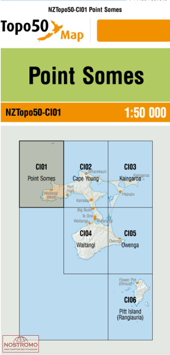 CI01 POINT SOMES | carte topographique LINZ