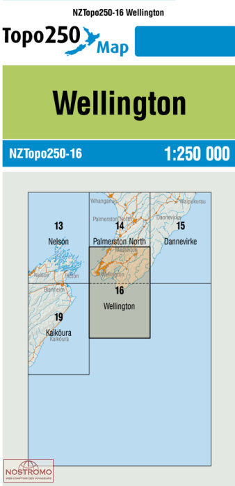 16 WELLINGTON | carte topographique LINZ