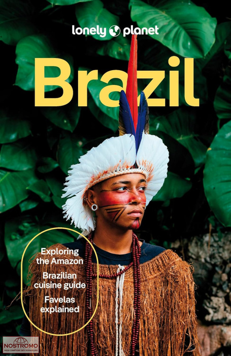 BRÉSIL | guide touristique Lonely Planet