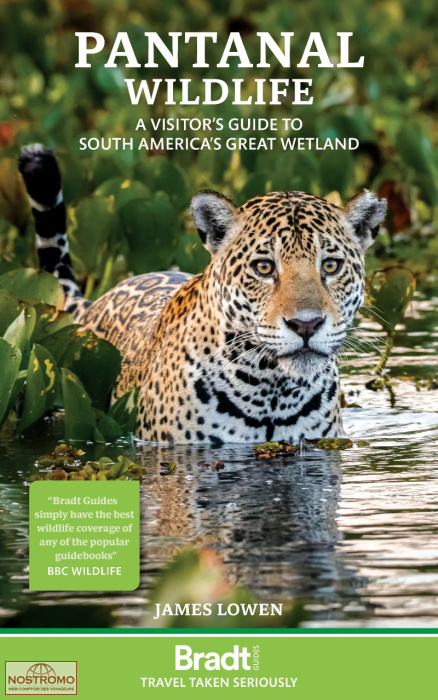 PANTANAL WILDLIFE | guide touristique Bradt