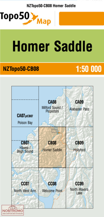 CB08 HOMER SADDLE | carte topographique LINZ