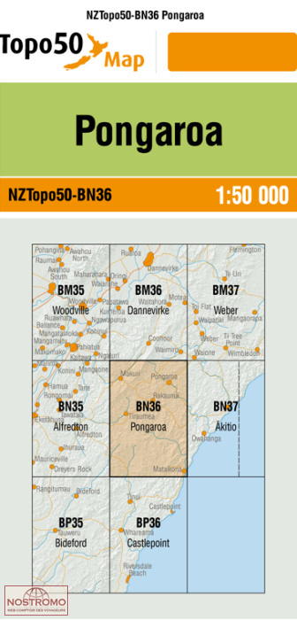 BN36 PONGAROA | carte topographique LINZ