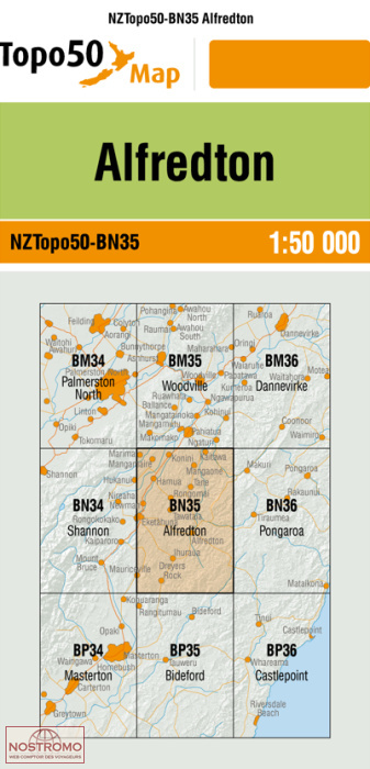 BN35 ALFREDTOWN | carte topographique LINZ