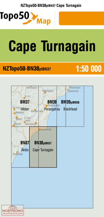 BN38PTBN37 CAPE TURNAGAIN | carte topographique LINZ
