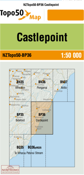 BP36 CASTLEPOINT | carte topographique LINZ