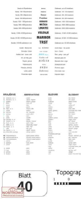 40 GROSUPJLE | carte topographique Projektnord