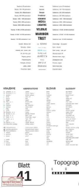41 IVANČNA GORICA | carte topographique Projektnord