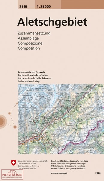 2516 ALETSCHGEBIET | carte topographique Swisstopo