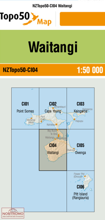 CI04 WAITANGI | carte topographique LINZ