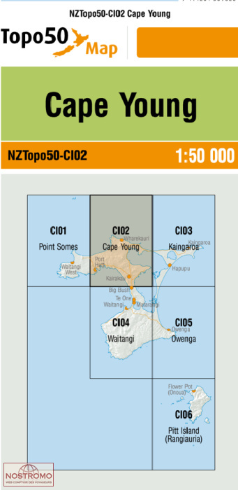 CI02 CAPE YOUNG | carte topographique LINZ