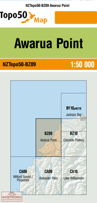 BZ09 AWARUA POINT | carte topographique LINZ