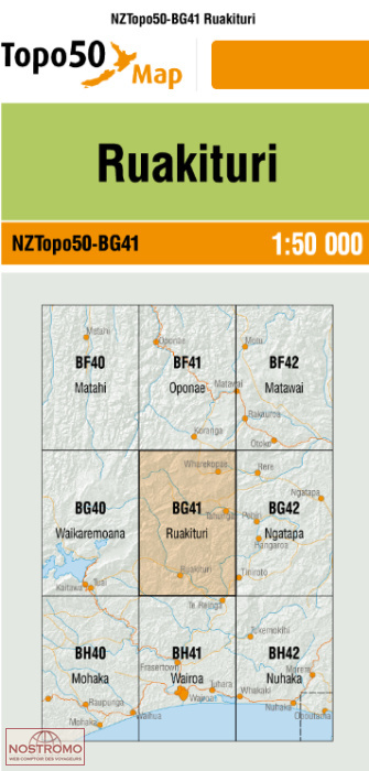 BG41 RUAKITURI | carte topographique LINZ