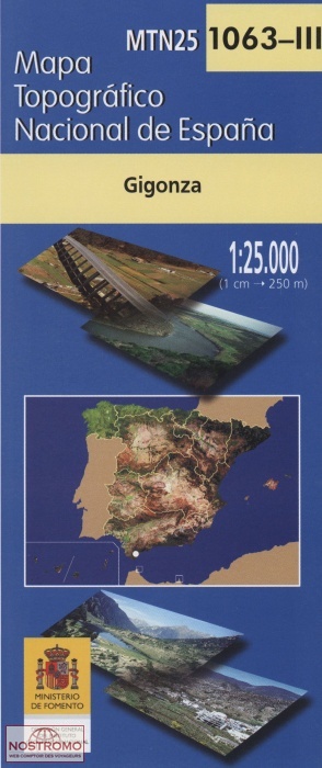 1063-3 GIGONZA | carte topographique CNIG