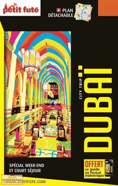 DUBAÏ | guide touristique le Petit Futé