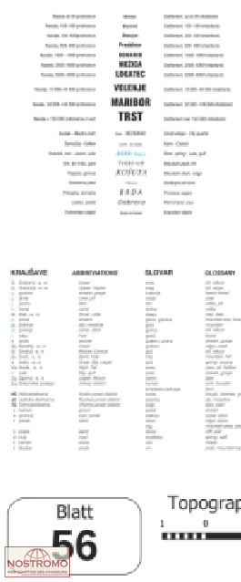 56 OSILNICA | carte topographique Projektnord